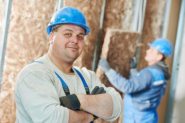 Best Insulation Installation Services in Davis, OK